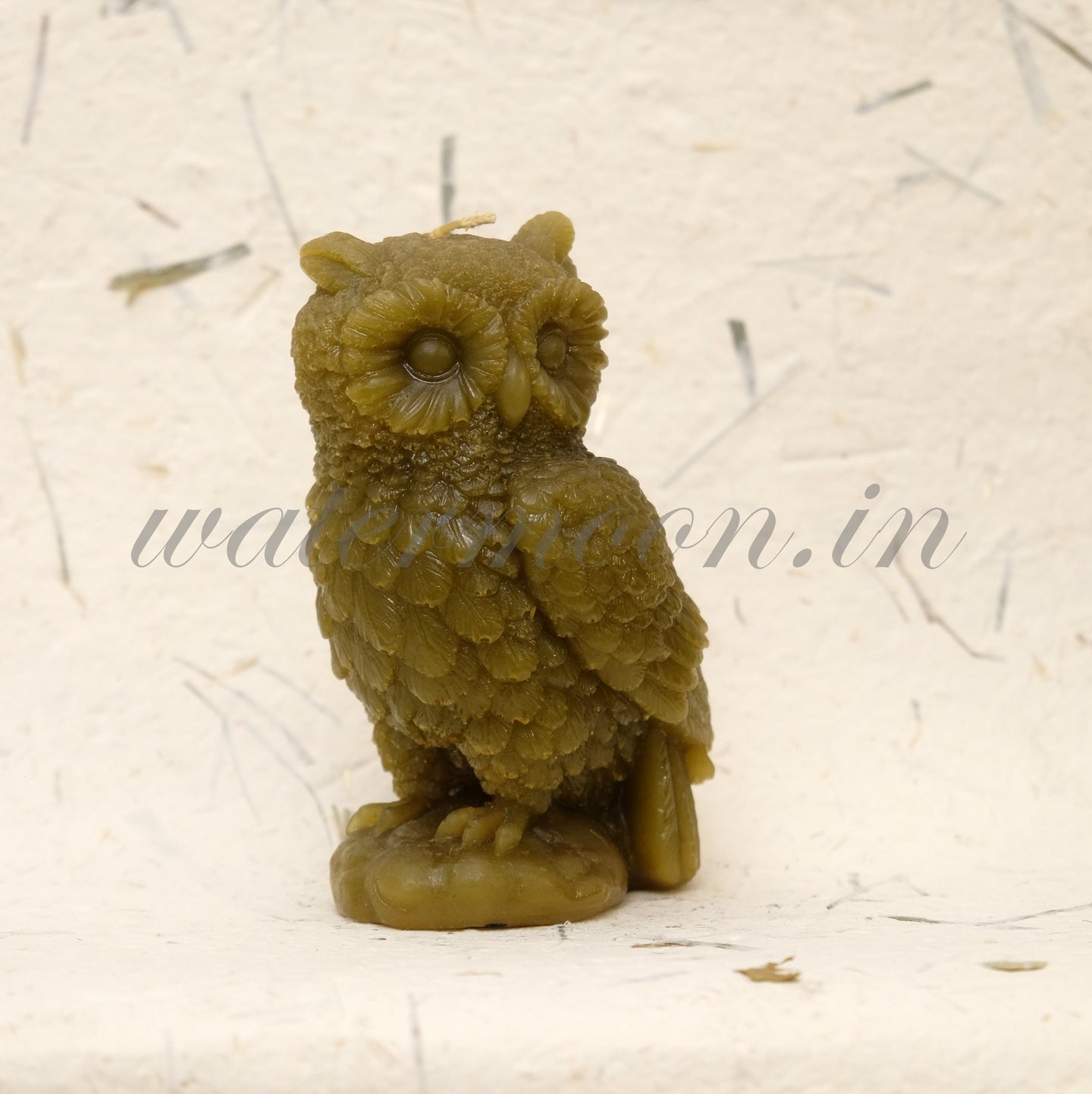 Owls